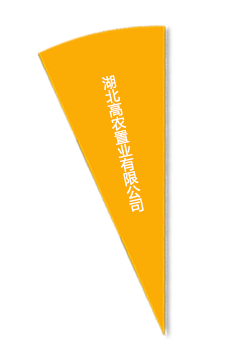 金莎国际网站官网 - welcome