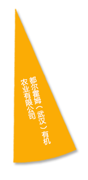 金莎国际网站官网 - welcome