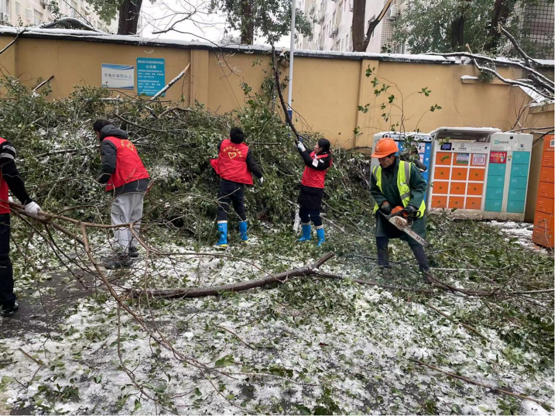 金莎国际网站官网 - welcome