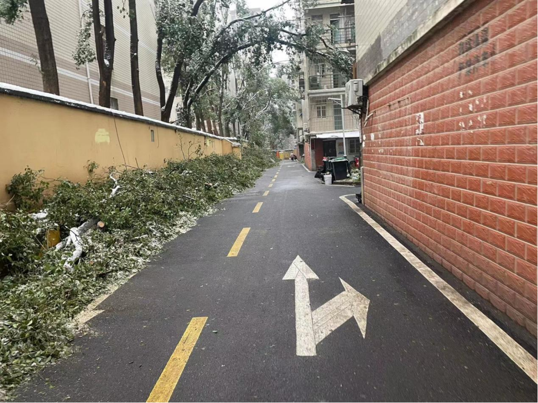 金莎国际网站官网 - welcome