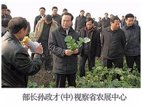 金莎国际网站官网 - welcome