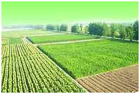 金莎国际网站官网 - welcome