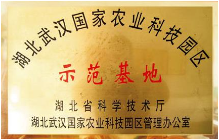 金莎国际网站官网 - welcome