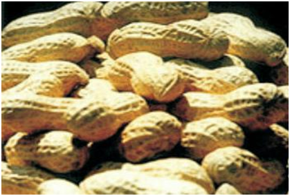 金莎国际网站官网 - welcome