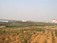 金莎国际网站官网 - welcome