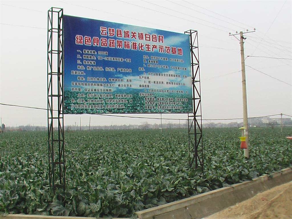 金莎国际网站官网 - welcome