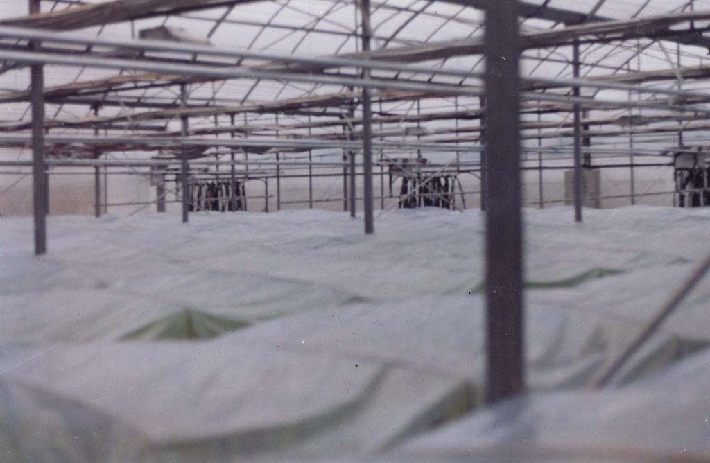 金莎国际网站官网 - welcome