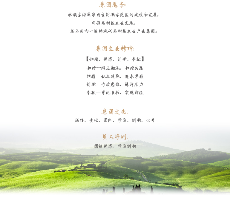 金莎国际网站官网 - welcome