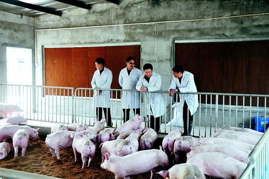 金莎国际网站官网 - welcome