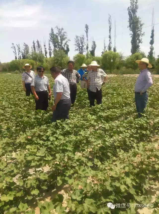 金莎国际网站官网 - welcome