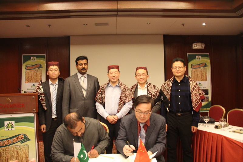 金莎国际网站官网 - welcome