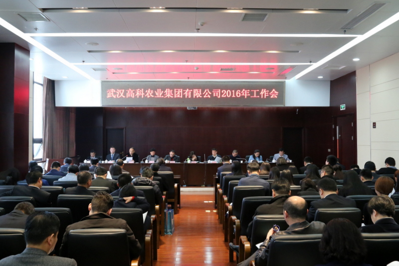 金莎国际网站官网 - welcome