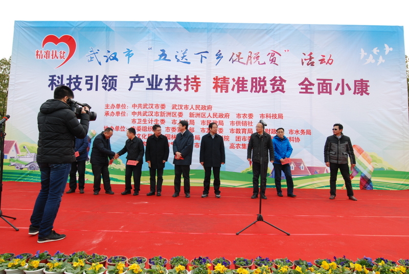 金莎国际网站官网 - welcome