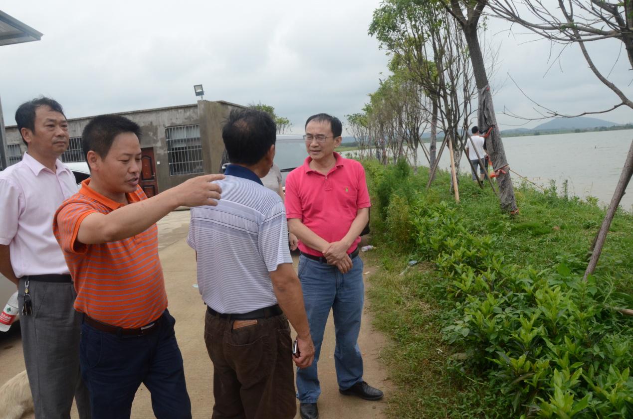 金莎国际网站官网 - welcome