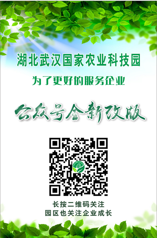 金莎国际网站官网 - welcome