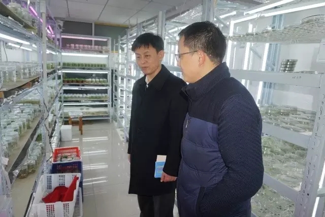 金莎国际网站官网 - welcome