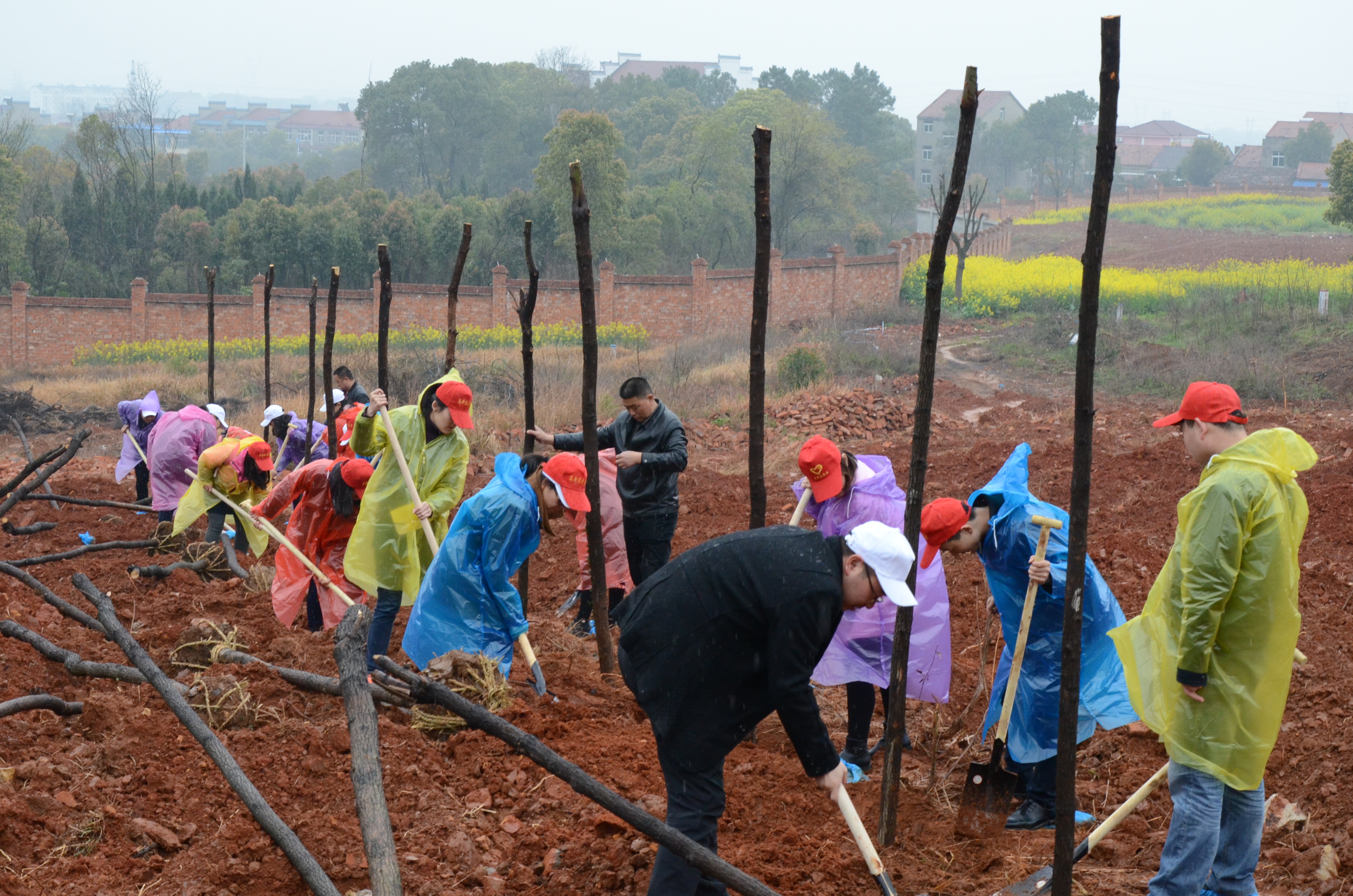 金莎国际网站官网 - welcome