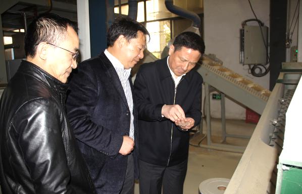 金莎国际网站官网 - welcome