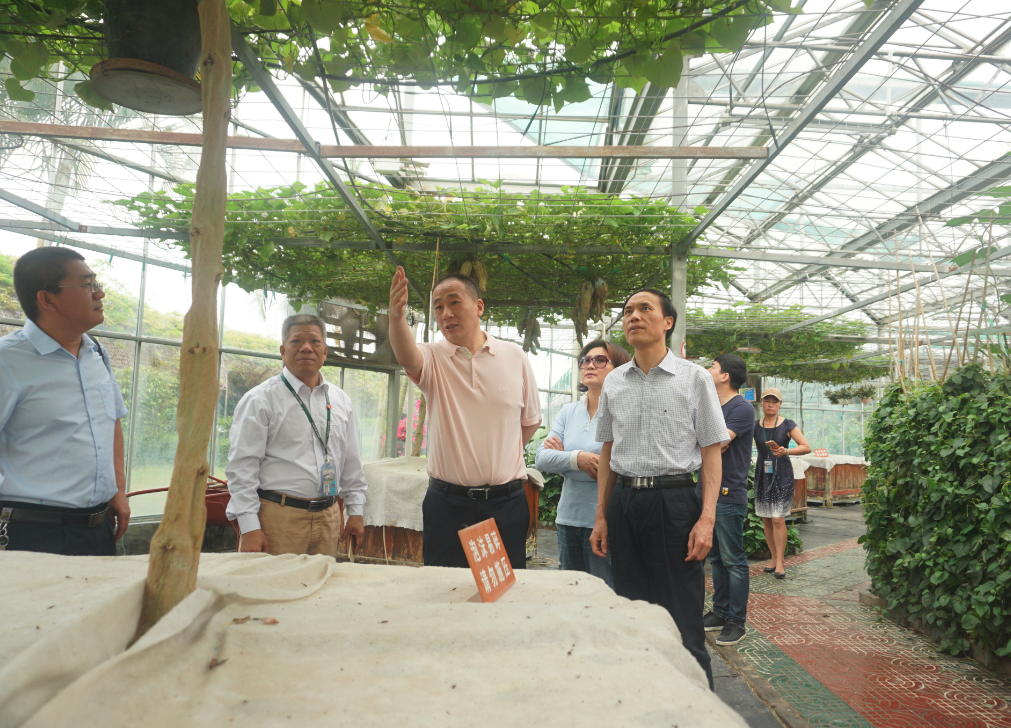 金莎国际网站官网 - welcome