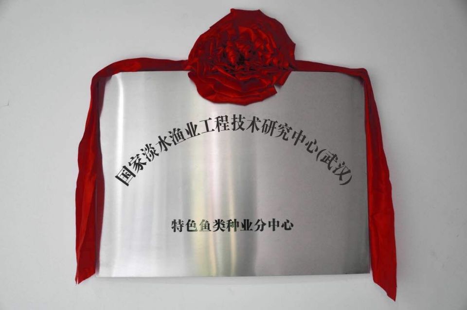 金莎国际网站官网 - welcome