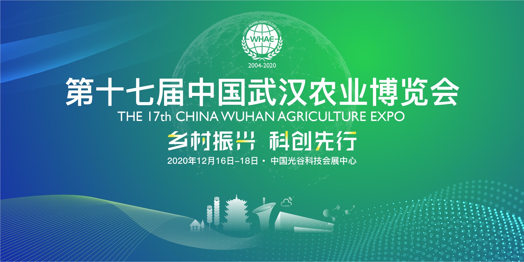 金莎国际网站官网 - welcome